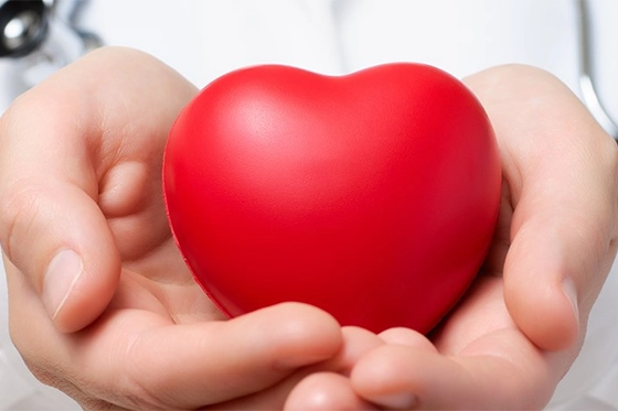 Doctor holding a red heart model symbolizing cardiac care and diagnostic services for heart health monitoring.